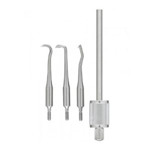 C Tips For Morrel Crown